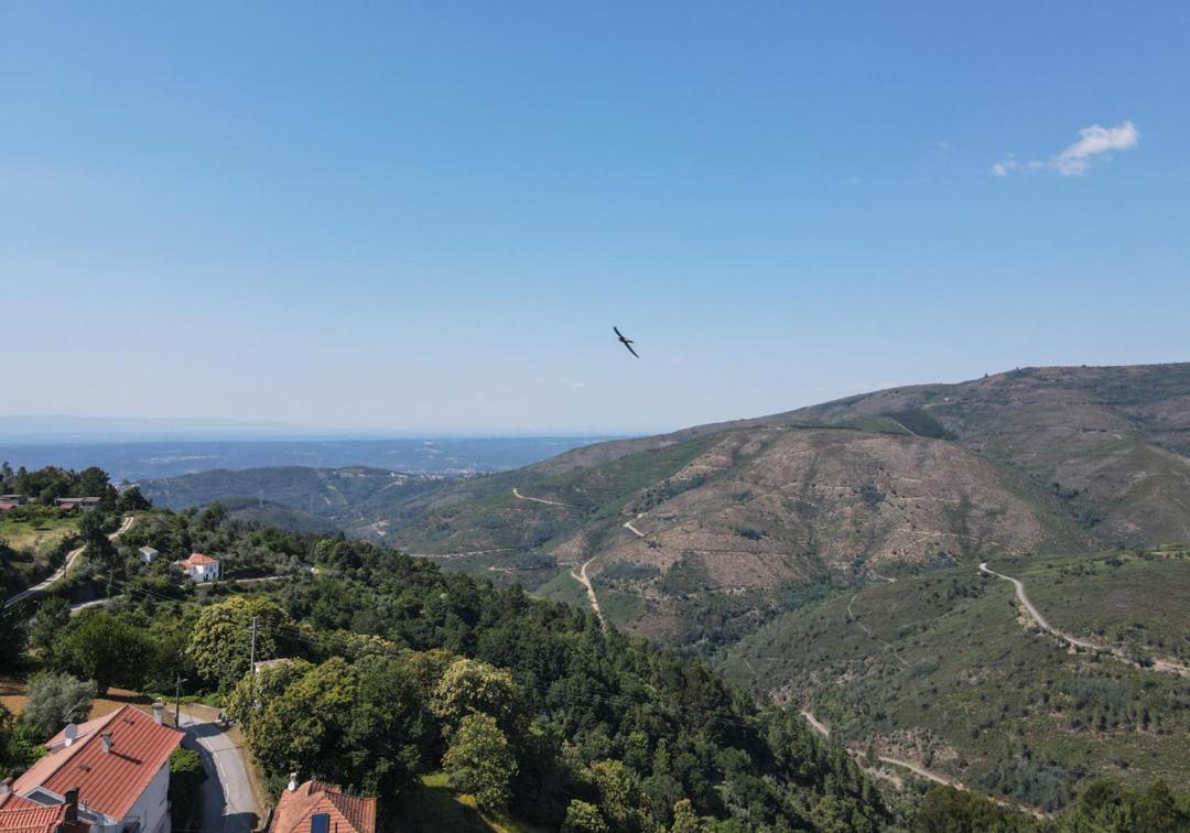 Ferienhaus Casa Da Avo Emilia Arganil