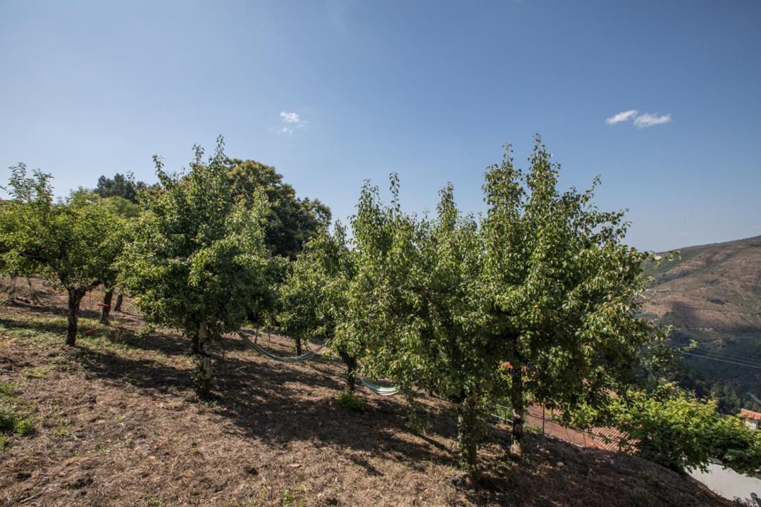 Casa Da Avo Emilia Holiday home Arganil